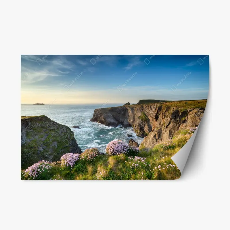 Repositionable sticker coastal cliffs at golden hour