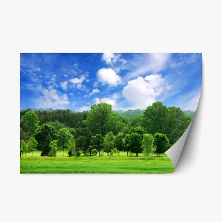 Repositionable sticker summer green forest under blue sky • Wallissimo®