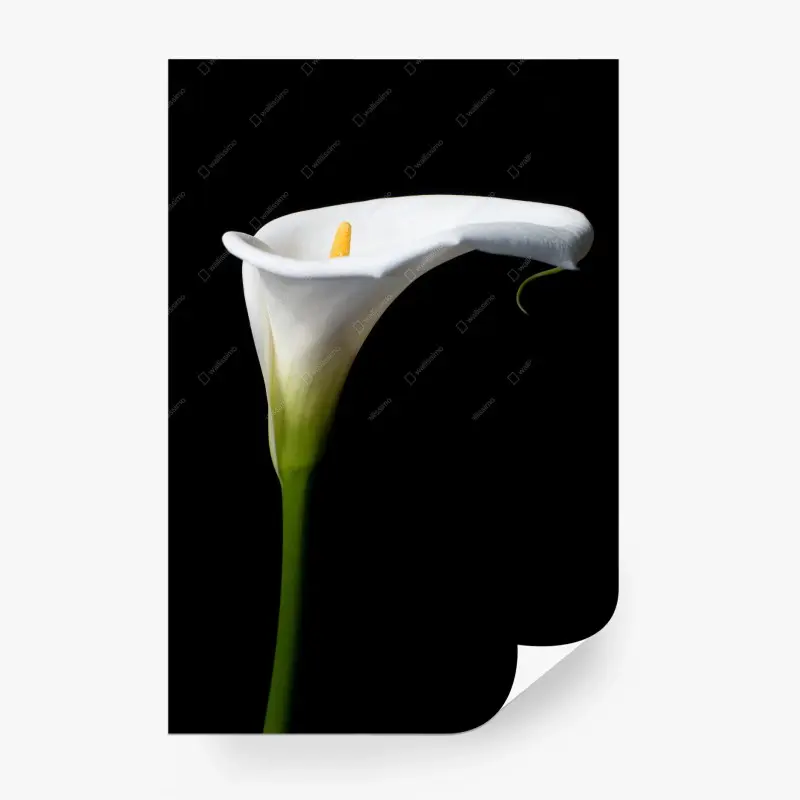 Wall mural pastel botanical abstract pattern • Wallissimo®