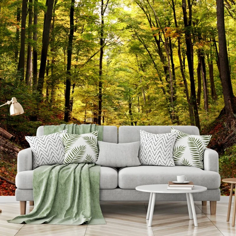 Wall mural autumn forest pathway under green canopy