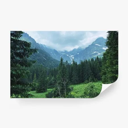 Wall mural serene mountain forest landscape • Wallissimo®