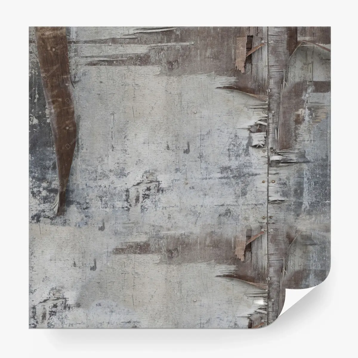 Wall mural weathered wood texture for neutral interiors • Wallissimo®
