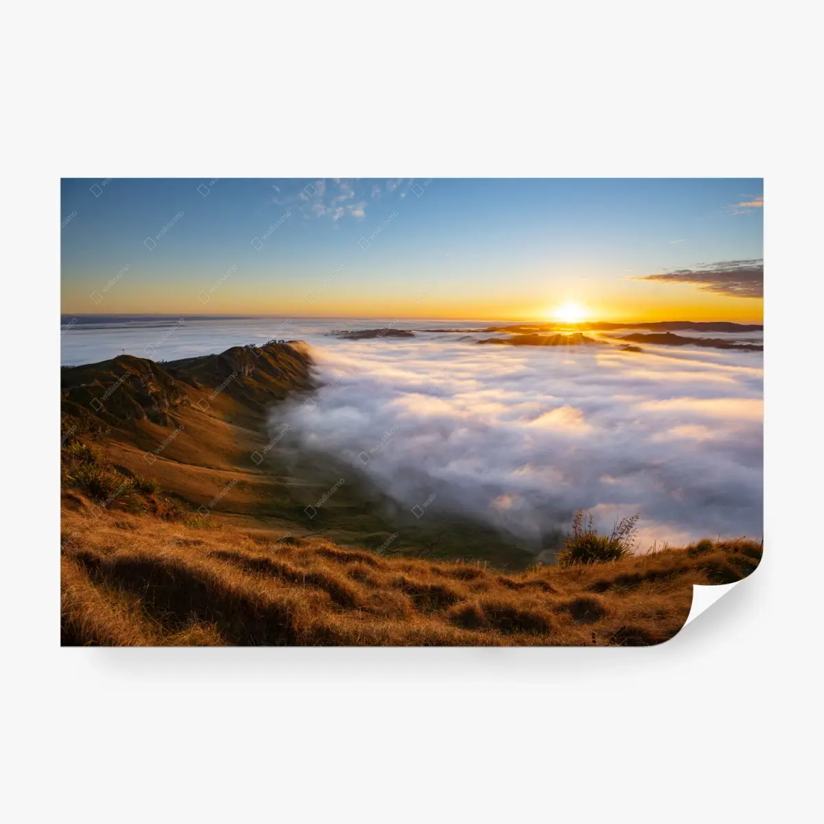 Wall mural sunrise over misty mountain valley • Wallissimo®