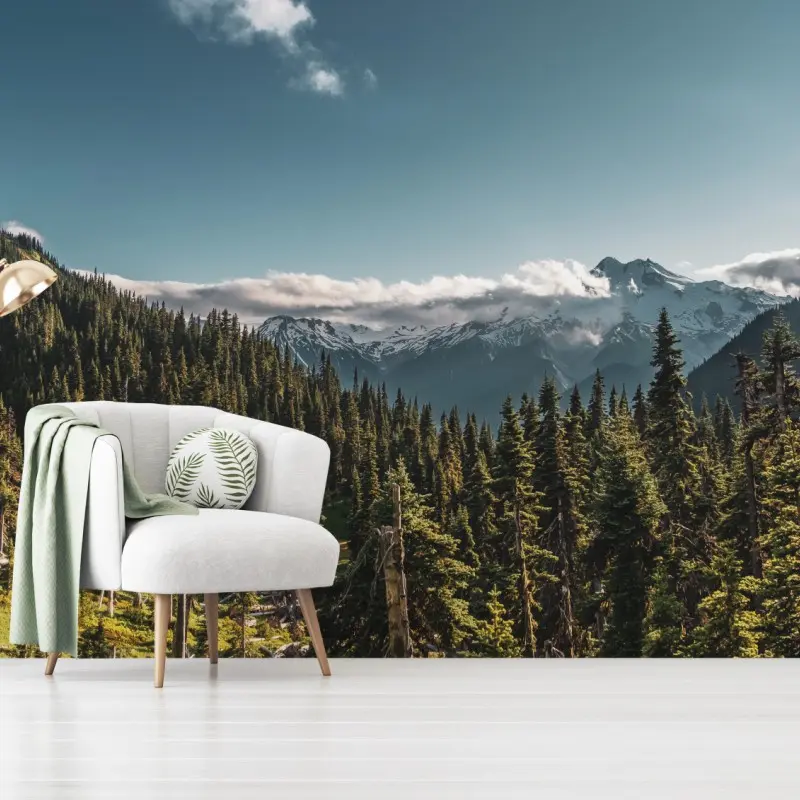Wall mural majestic alpine mountain forest landscape