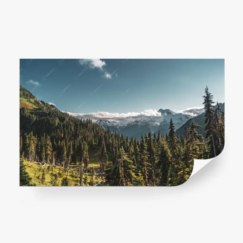 Wall mural • Wallissimo®