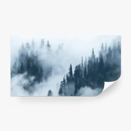Wall mural misty pine forest landscape • Wallissimo®