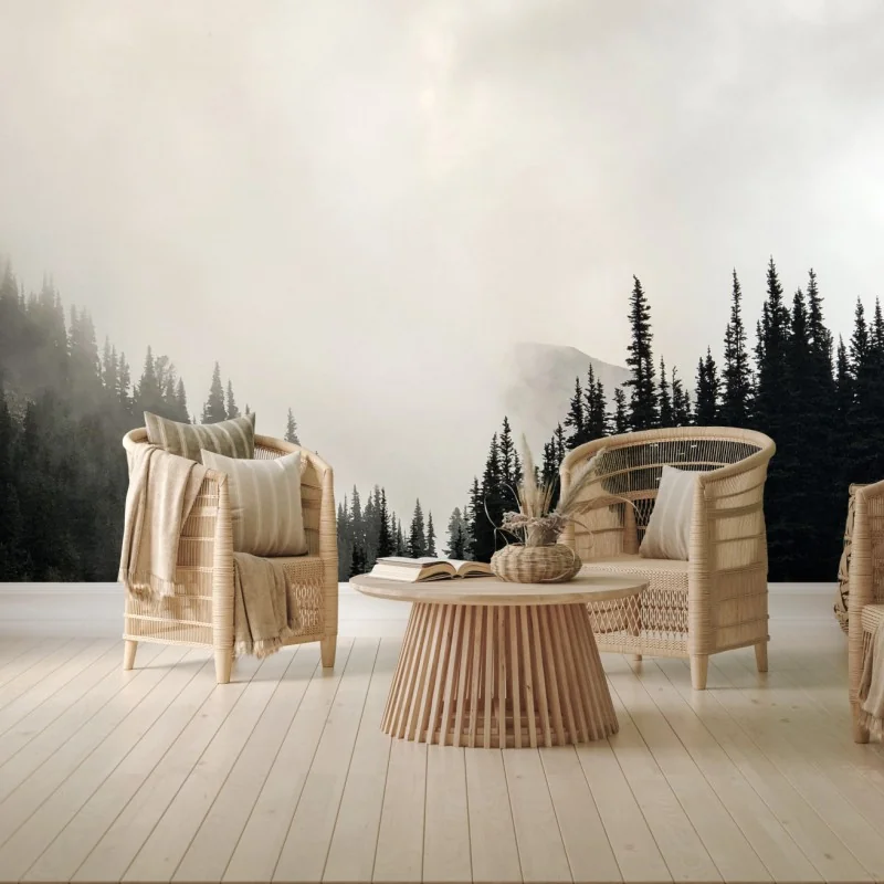Wall mural misty conifer forest silhouette