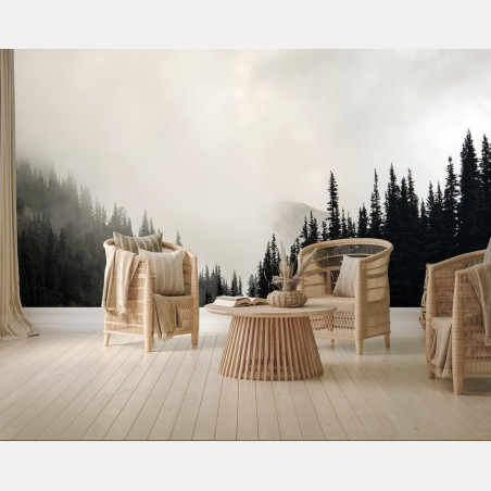 Wall mural misty conifer forest silhouette • Wallissimo®
