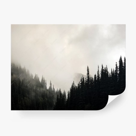 Wall mural misty conifer forest silhouette • Wallissimo®