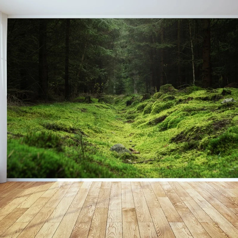 Wall mural mossy forest path