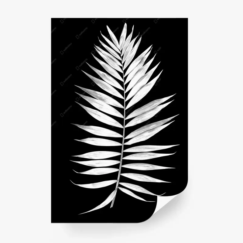Wall mural monochrome palm leaf art print