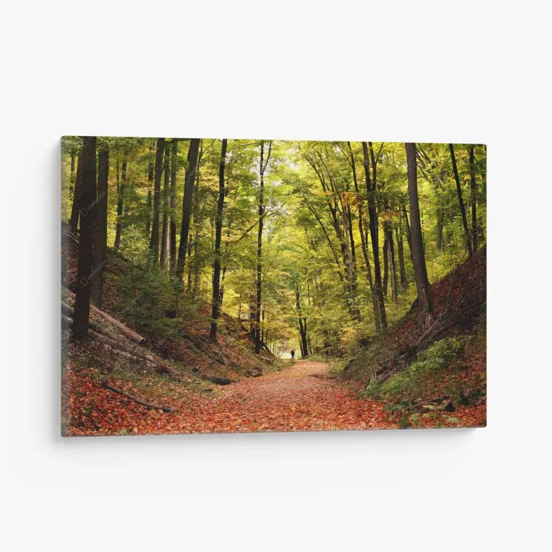 Canvas print • Wallissimo®