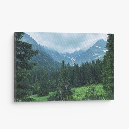 Canvas print serene mountain forest landscape • Wallissimo®