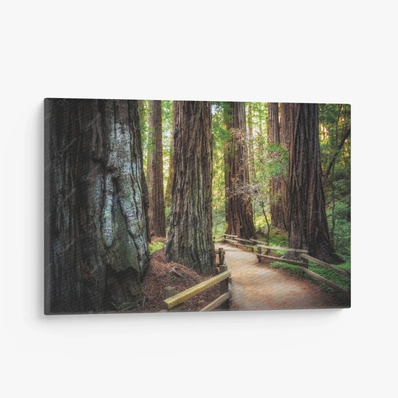 Canvas print • Wallissimo®
