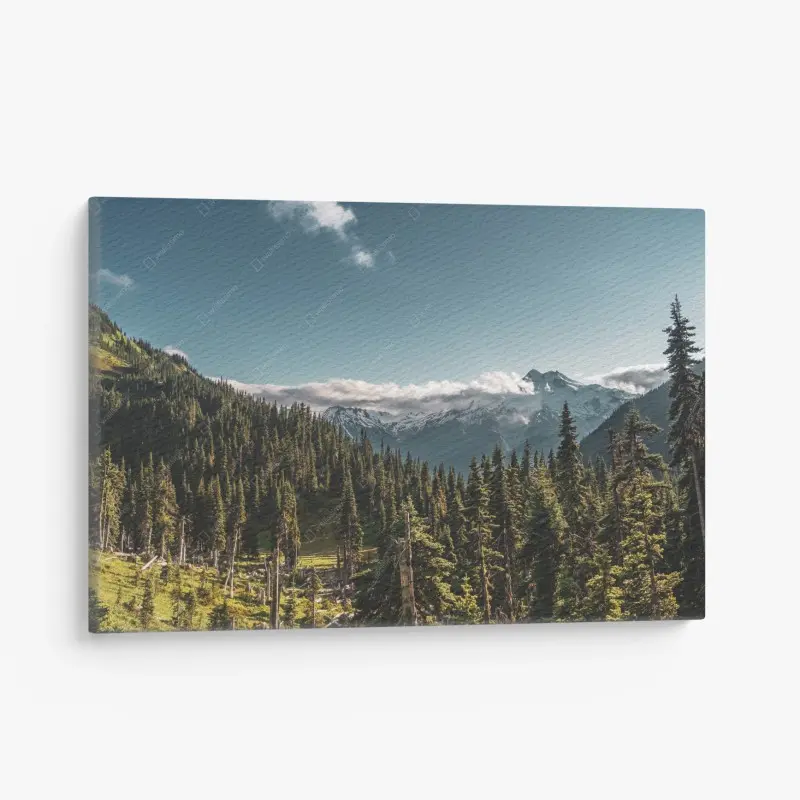 Canvas print • Wallissimo®