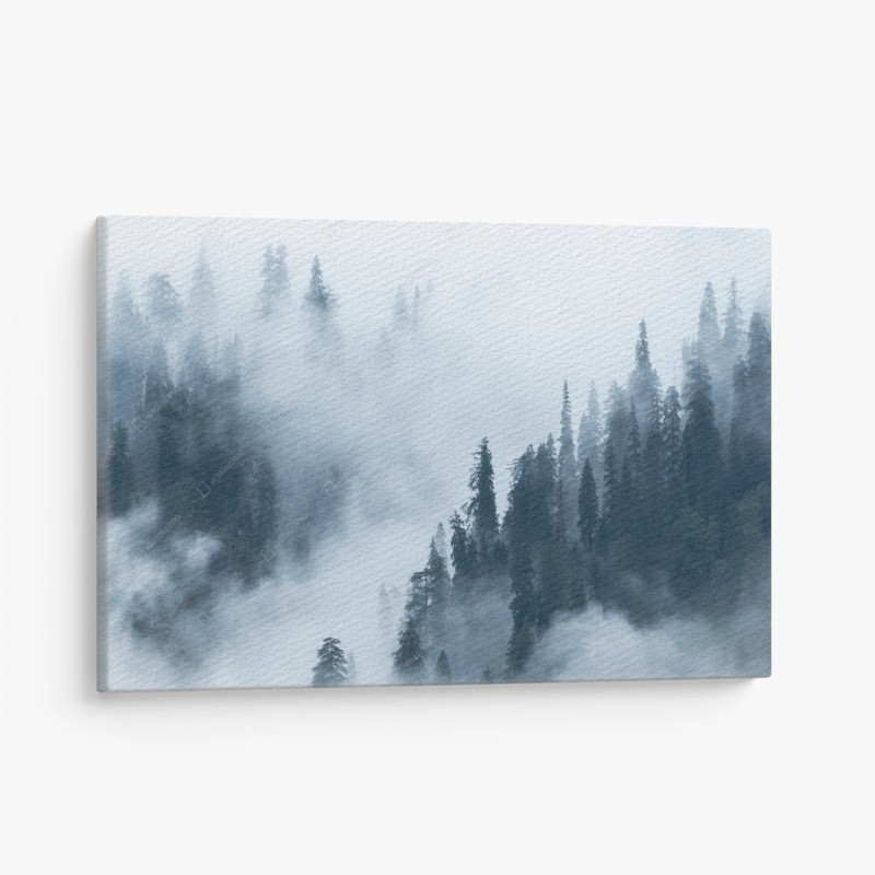 Canvas print misty pine forest landscape