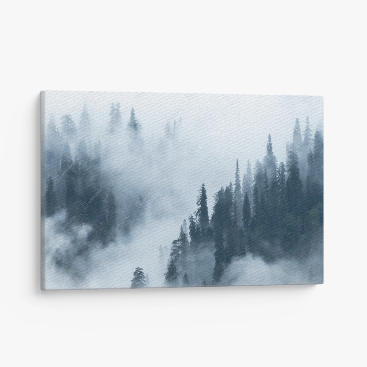 Canvas print misty pine forest landscape • Wallissimo®