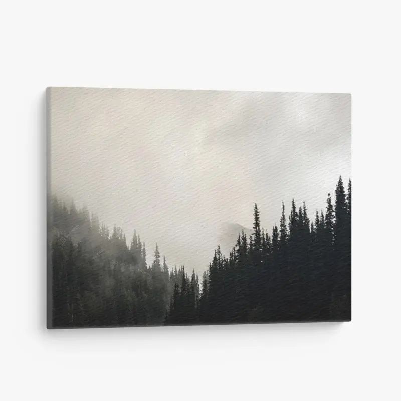 Canvas print misty conifer forest silhouette