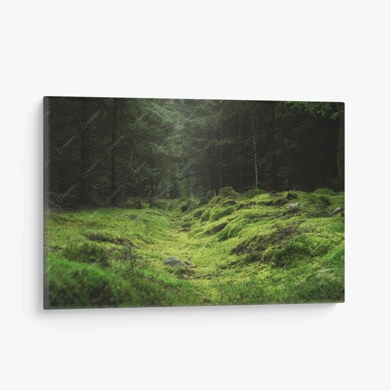Canvas print alpine meadow beneath snowcapped peaks • Wallissimo®