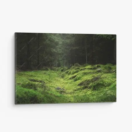 Canvas print mossy forest path • Wallissimo®