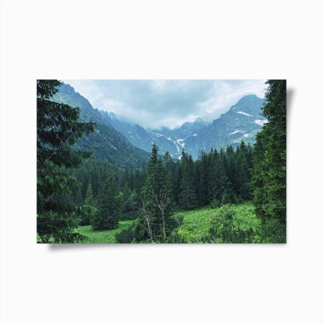 Poster serene mountain forest landscape • Wallissimo®