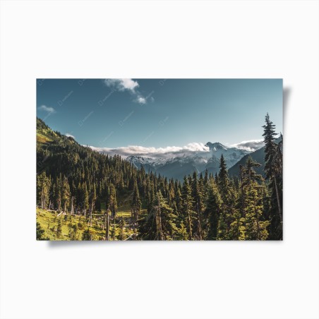 Poster majestic alpine mountain forest landscape • Wallissimo®