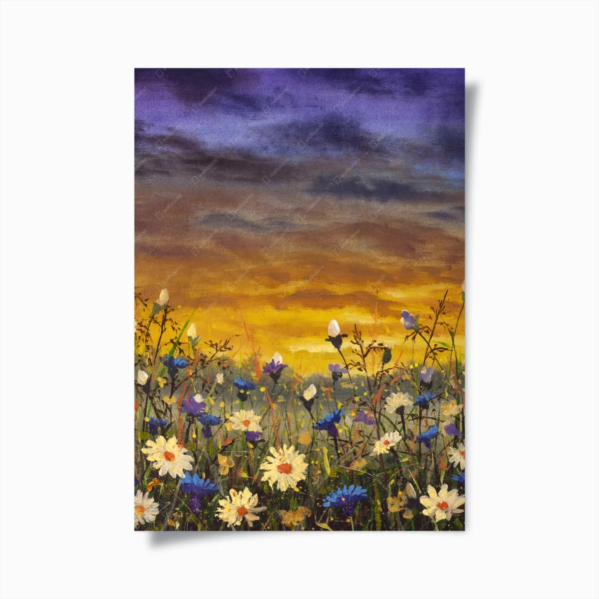 Poster sunset daisies and cornflowers meadow • Wallissimo® Poster sunset daisies and cornflowers meadow • Wallissimo®