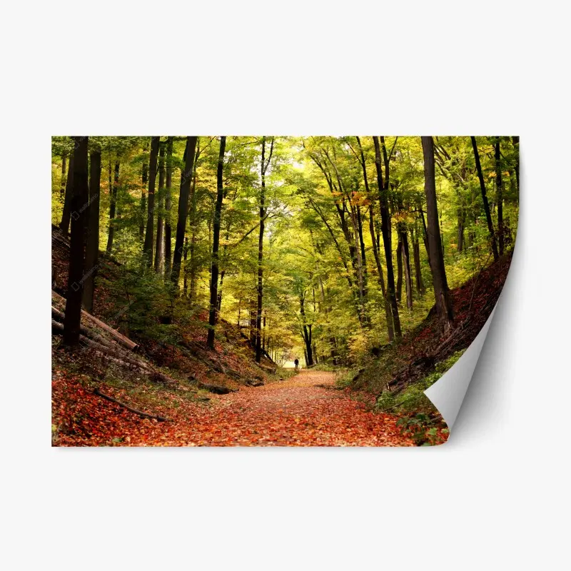 Repositionable sticker • Wallissimo®