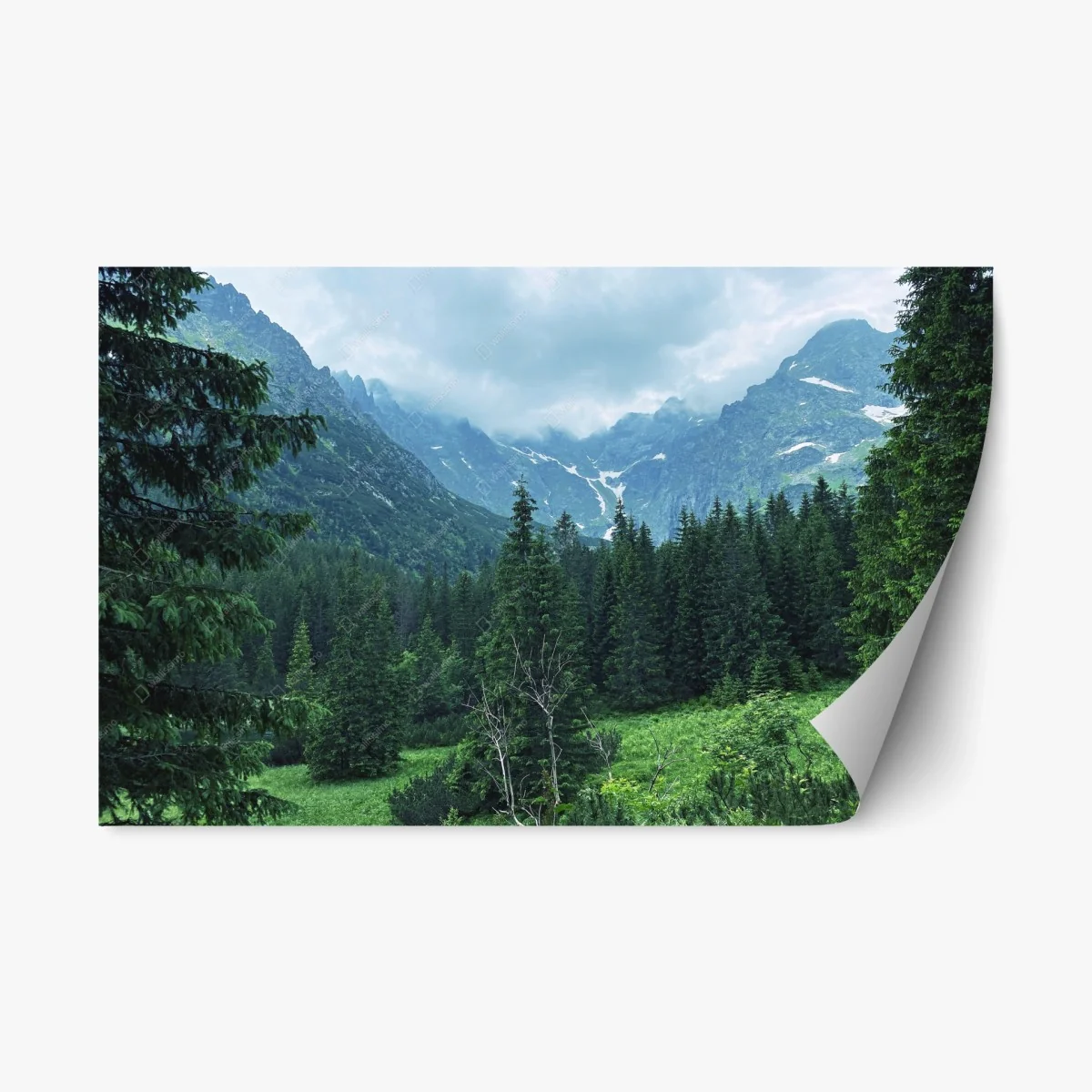 Repositionable sticker serene mountain forest landscape • Wallissimo® Repositionable sticker serene mountain forest landscape • Wallissimo®