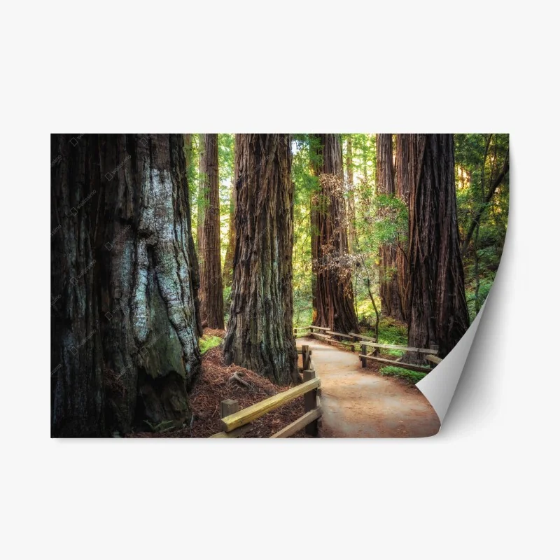 Repositionable sticker • Wallissimo®