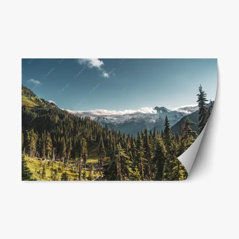 Repositionable sticker • Wallissimo®