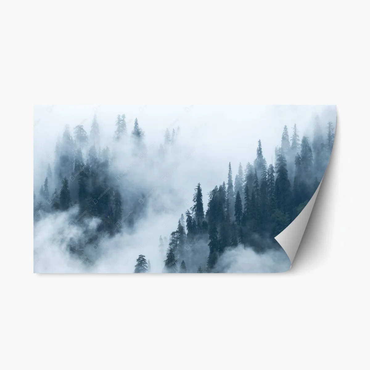 Repositionable sticker misty pine forest landscape • Wallissimo® Repositionable sticker misty pine forest landscape • Wallissimo®
