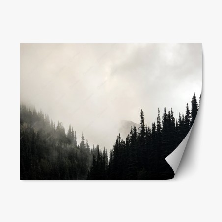 Repositionable sticker misty conifer forest silhouette • Wallissimo®
