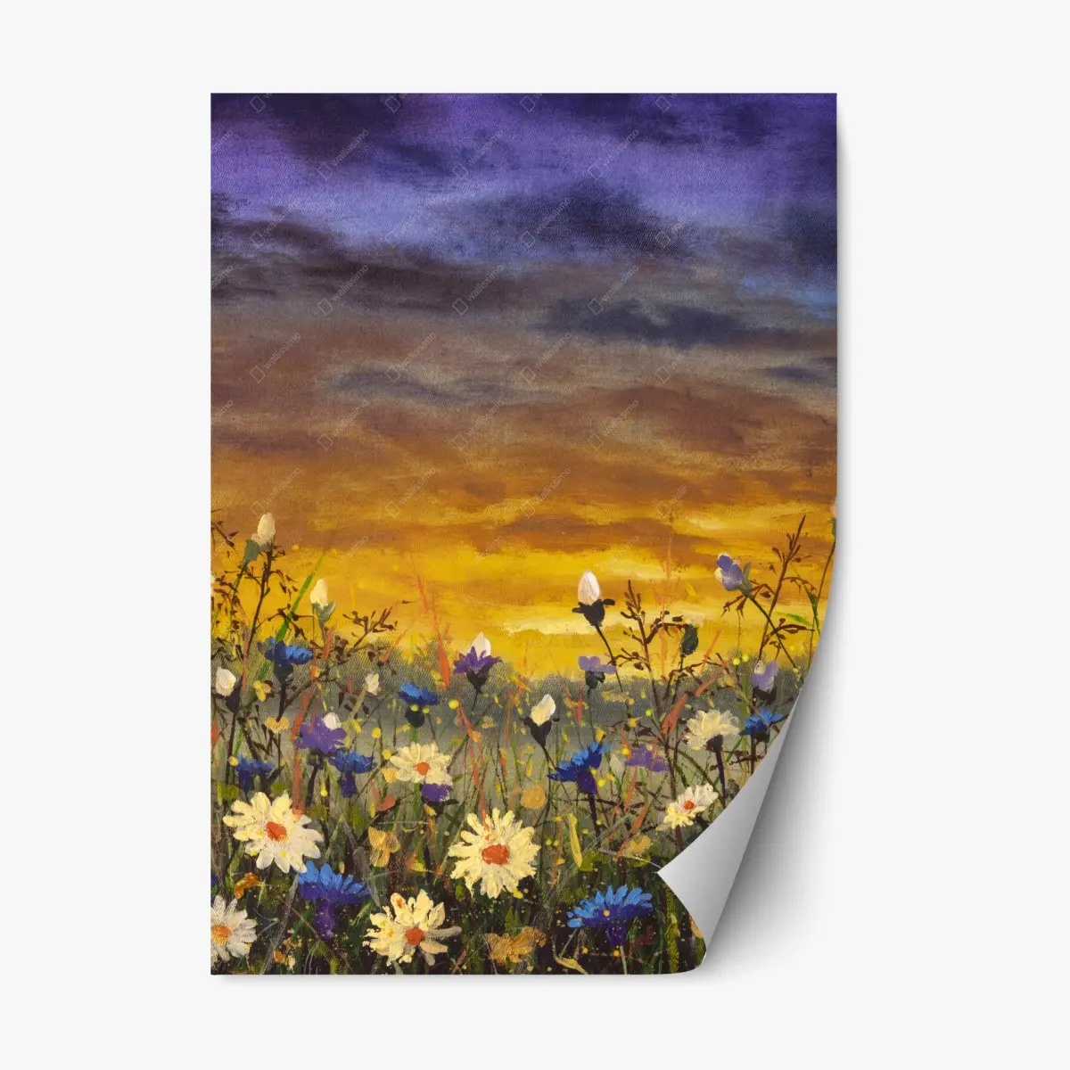 Repositionable sticker sunset daisies and cornflowers meadow • Wallissimo® Repositionable sticker sunset daisies and cornflowers meadow • Wallissimo®