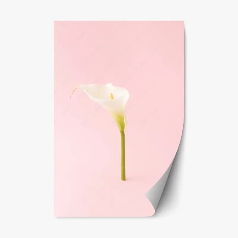 Repositionable sticker • Wallissimo®