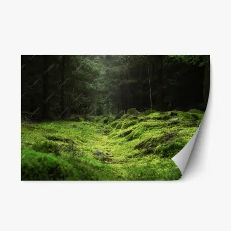 Repositionable sticker mossy forest path • Wallissimo®