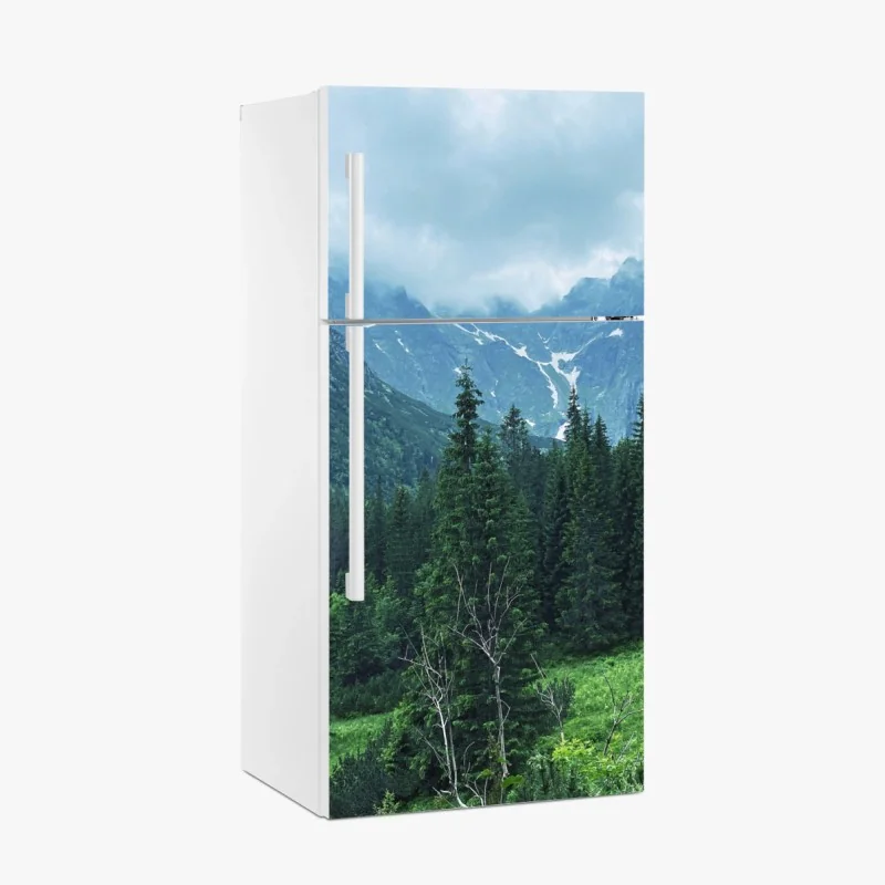 Fridge sticker misty forest path • Wallissimo®