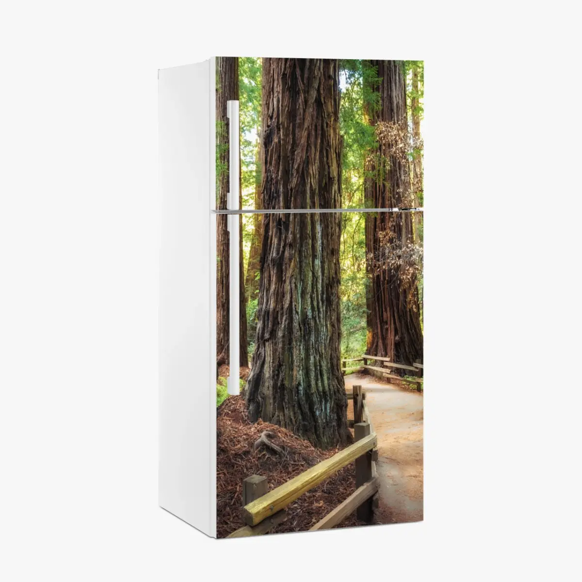 Fridge sticker path through ancient redwood forest • Wallissimo® Fridge sticker path through ancient redwood forest • Wallissimo®