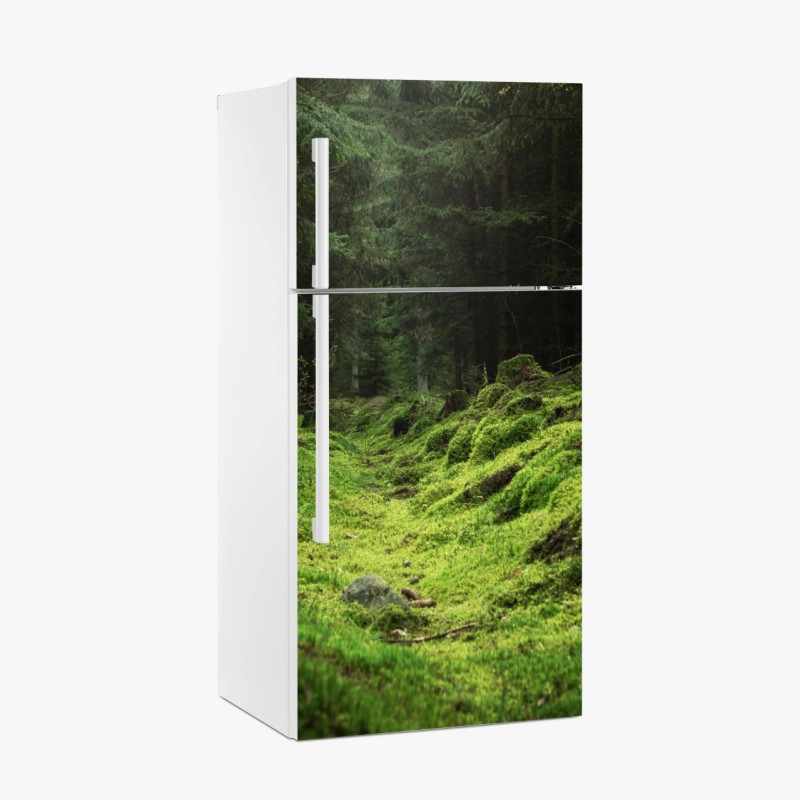 Fridge sticker mossy forest path