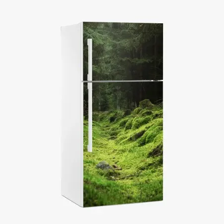Fridge sticker mossy forest path • Wallissimo®