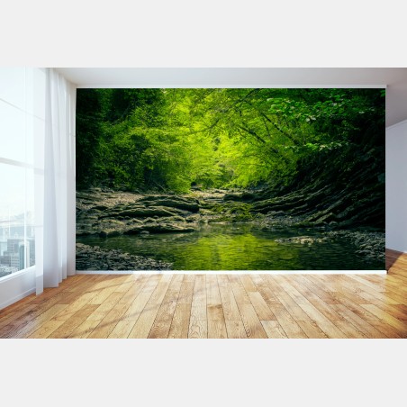 Wall mural lush green forest creek reflection • Wallissimo®