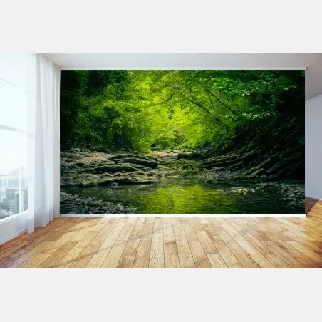 Wall mural lush green forest creek reflection • Wallissimo®