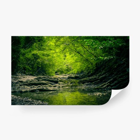 Wall mural lush green forest creek reflection • Wallissimo®