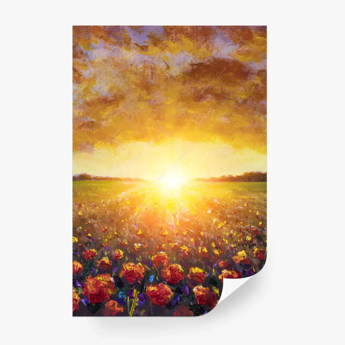 Wall mural sunlit poppy field at sunrise • Wallissimo®