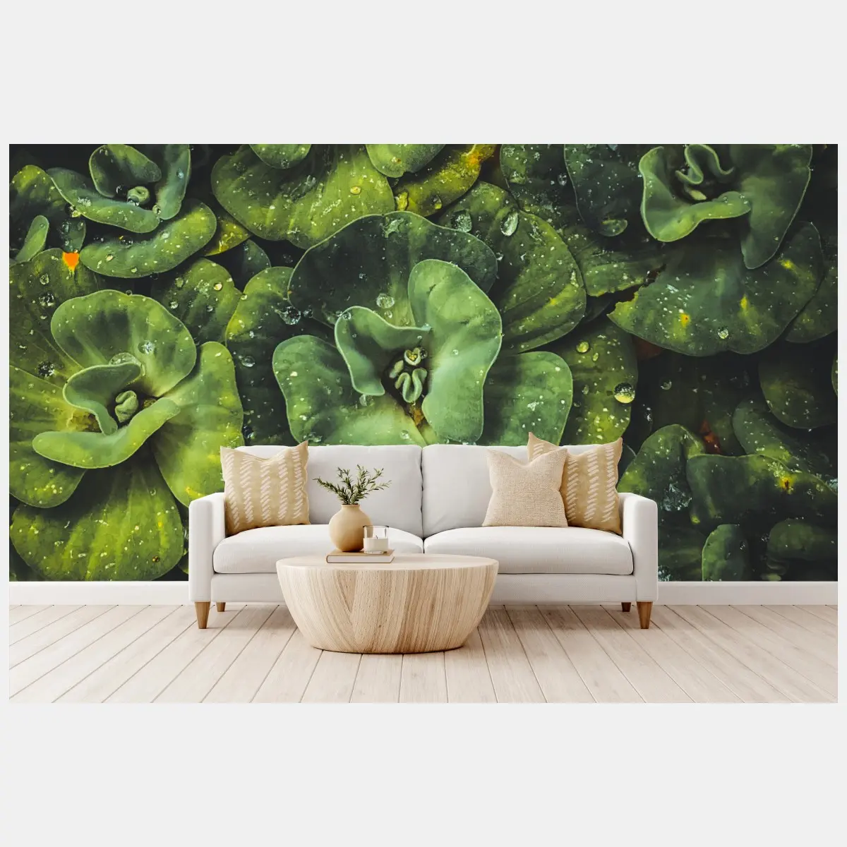 Wall mural lush green water plants close-up • Wallissimo®