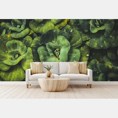 Wall mural lush green water plants close-up • Wallissimo®