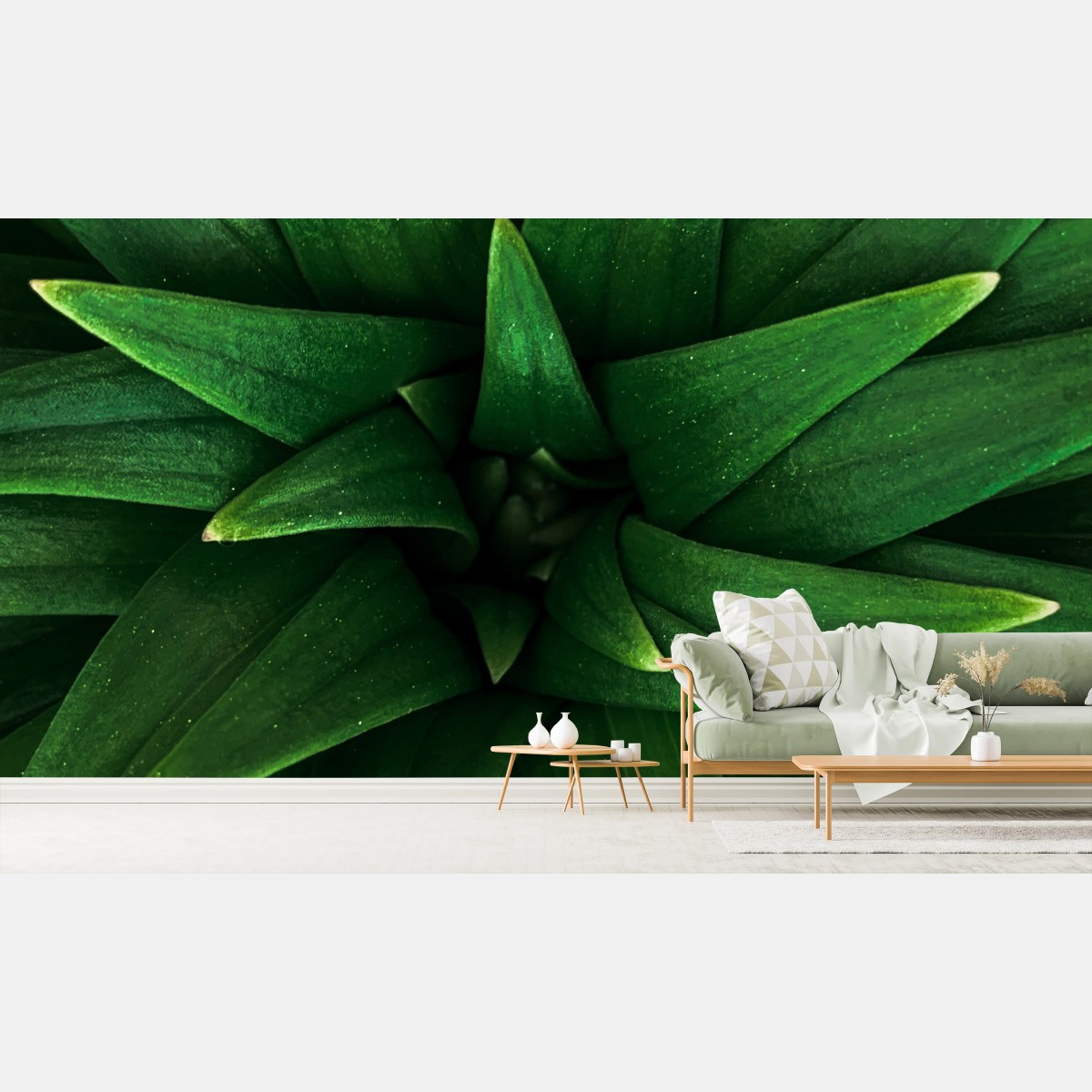 Wall mural lush green leaf spiral • Wallissimo®