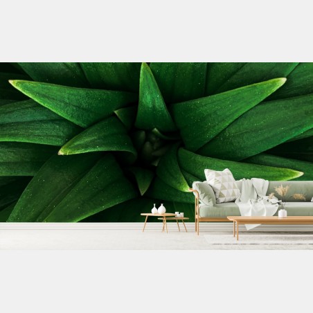 Wall mural lush green leaf spiral • Wallissimo®