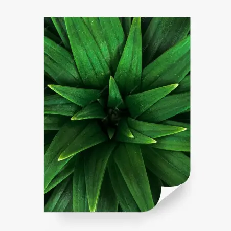 Wall mural lush green leaf spiral • Wallissimo®