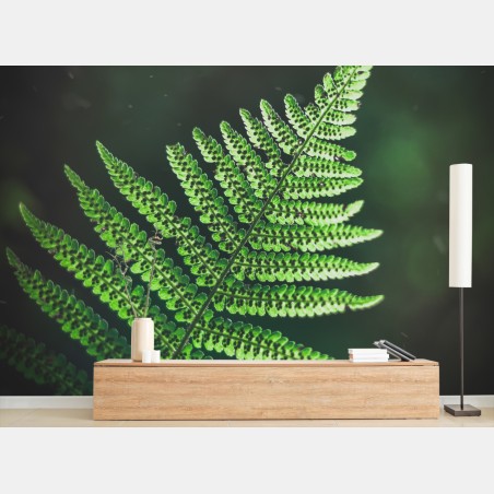 Wall mural green fern leaf close-up • Wallissimo®